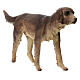 Hund, für 30 cm Krippe von Angela Tripi, Terrakotta s2
