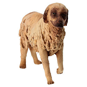Chien 30cm crèche Angela Tripi