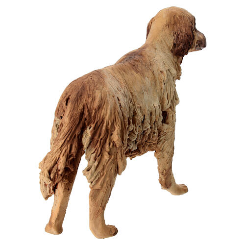 Cãe 30 cm presépio terracota Angela Tripi 5