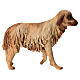 Cãe 30 cm presépio terracota Angela Tripi s1