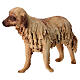 Cãe 30 cm presépio terracota Angela Tripi s3