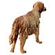 Cãe 30 cm presépio terracota Angela Tripi s5