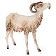 Ram 30cm Angela Tripi s3