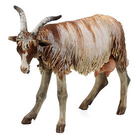 Goat 30cm Angela Tripi