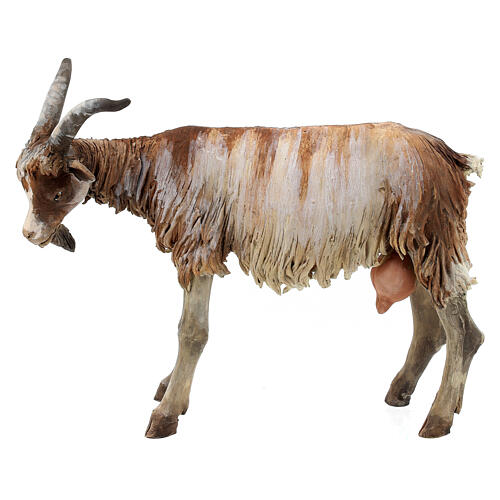 Goat 30cm Angela Tripi 1