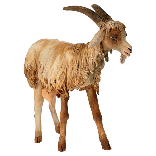 Goat 30cm Angela Tripi 3