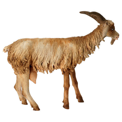 Goat 30cm Angela Tripi 4