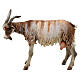 Goat 30cm Angela Tripi s1