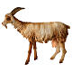 Goat 30cm Angela Tripi s1