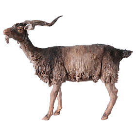 Pesebre Angela Tripi: Cabra Belén 30 cm Angela Tripi Pesebre Angela Tripi: Cabra Belén 30 cm Angela Tripi