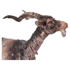 Presepe Angela Tripi: Capra 30 cm presepe Angela Tripi