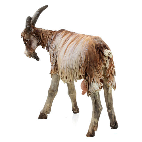 Goat 30cm Angela Tripi 4