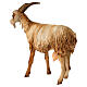 Goat 30cm Angela Tripi s5