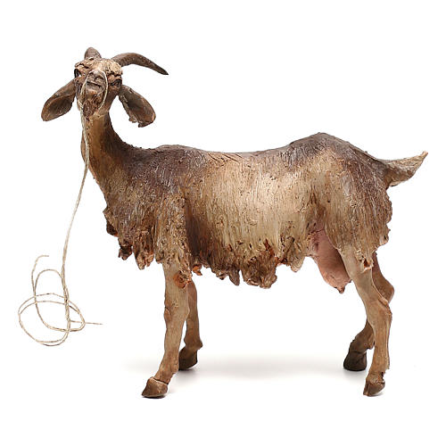 Shepherd with goat 30cm Angela Tripi 3