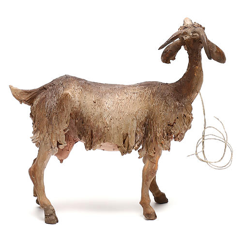 Shepherd with goat 30cm Angela Tripi 7
