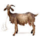 Shepherd with goat 30cm Angela Tripi s3