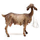 Shepherd with goat 30cm Angela Tripi s7