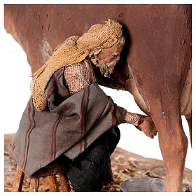 Hirte, eine Kuh melkend, für 13 cm Krippe von Angela Tripi, Terrakotta