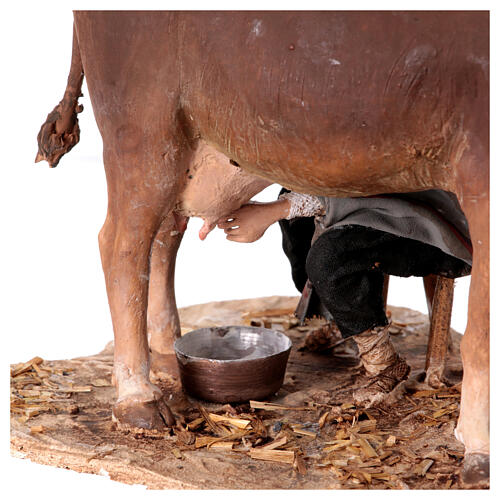 Hirte, eine Kuh melkend, für 13 cm Krippe von Angela Tripi, Terrakotta 4