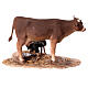Hirte, eine Kuh melkend, für 13 cm Krippe von Angela Tripi, Terrakotta s6