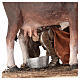 Farmer milking cow 13cm By Angela Tripi s4