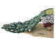 Peacock 30cm Angela Tripi Nativity Scene s7