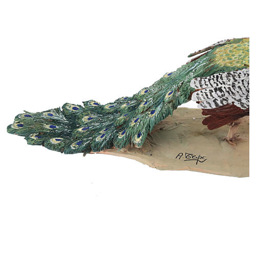 Peacock 30cm Angela Tripi Nativity Scene 7