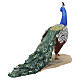 Peacock 30cm Angela Tripi Nativity Scene s4