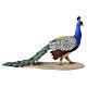Peacock 30cm Angela Tripi Nativity Scene s6