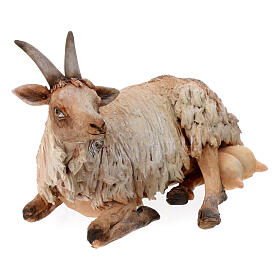 Goat 30cm Angela Tripi Nativity Scene