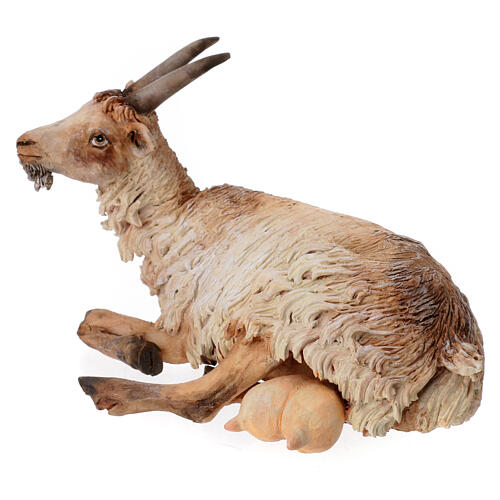 Goat 30cm Angela Tripi Nativity Scene 4