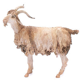 Pesebre Angela Tripi: Cabra Belén Angela Tripi 30 cm Pesebre Angela Tripi: Cabra Belén Angela Tripi 30 cm