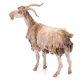 Presepe Angela Tripi: Capra 30 cm del Presepe Angela Tripi