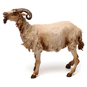 Krippenfiguren von Angela Tripi: Bock für 30er-Krippenfiguren von Angela Tripi aus Terrakotta