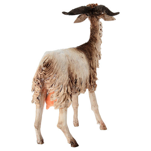 Ziegenbock, für 30 cm Krippe von Angela Tripi, Terrakotta 5