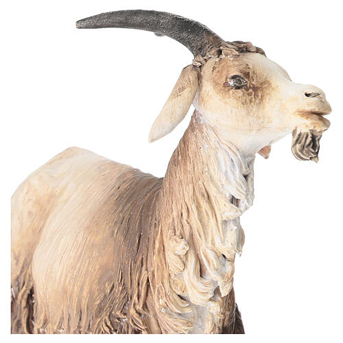 Carnero Belén Angela Tripi 30 cm 2