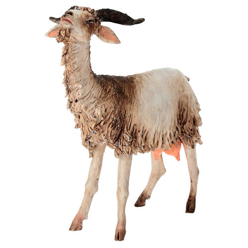 Bouc 30 cm crèche Angela Tripi 2