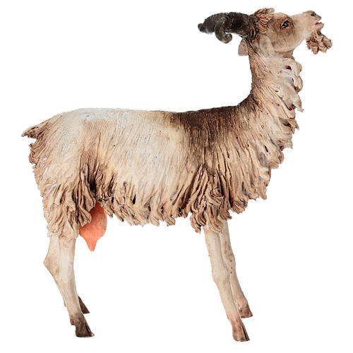 Bouc 30 cm crèche Angela Tripi 4