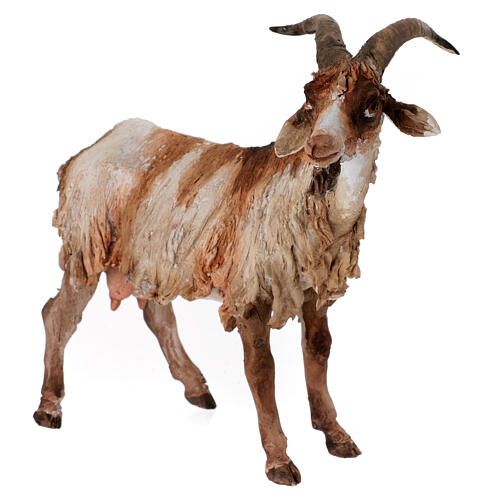Caprone 30 cm Presepe Angela Tripi 2