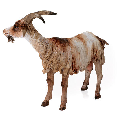 Caprone 30 cm Presepe Angela Tripi 3