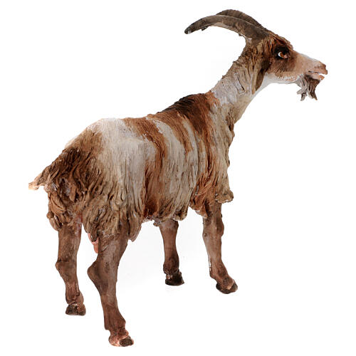 Caprone 30 cm Presepe Angela Tripi 5