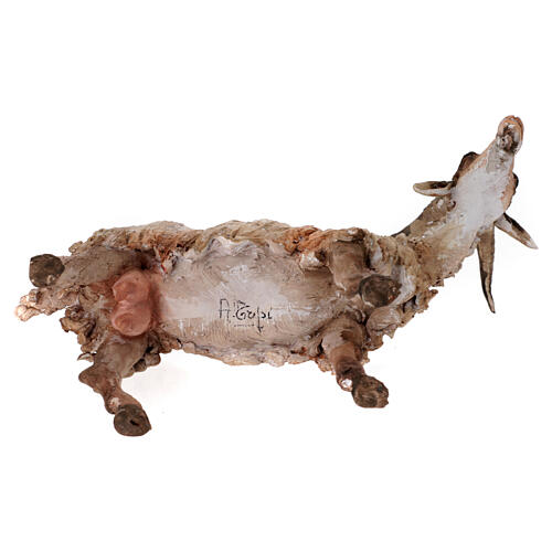 Caprone 30 cm Presepe Angela Tripi 6