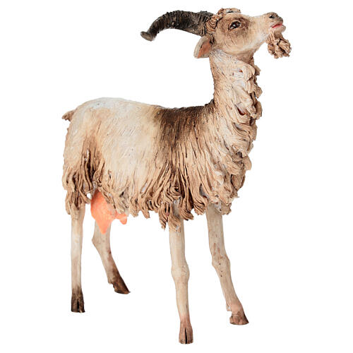 Caprone 30 cm Presepe Angela Tripi 3