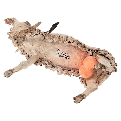 Caprone 30 cm Presepe Angela Tripi 6