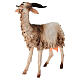 Caprone 30 cm Presepe Angela Tripi s2