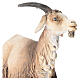 Buck 30cm Angela Tripi s2