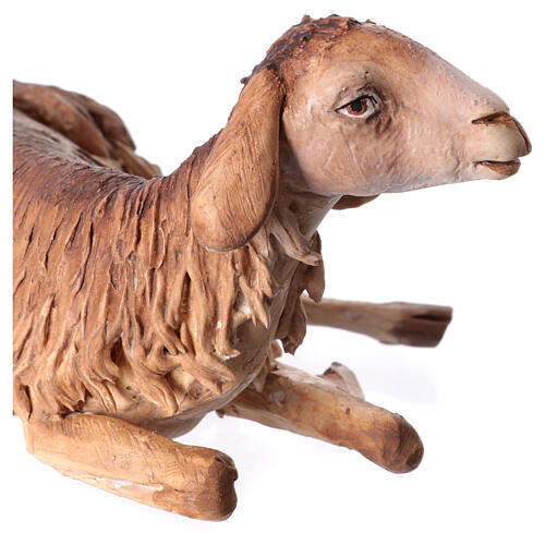 Schaf, liegend, für 30 cm Krippe von Angela Tripi, Terrakotta 5