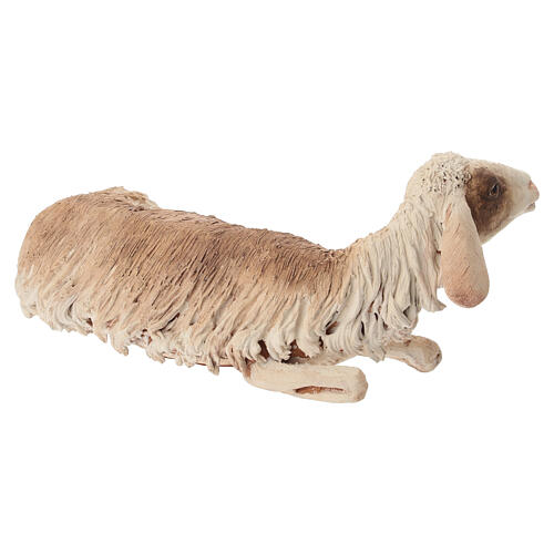 Schaf, liegend, für 30 cm Krippe von Angela Tripi, Terrakotta 4