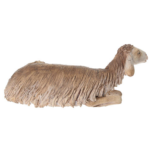 Schaf, liegend, für 30 cm Krippe von Angela Tripi, Terrakotta 5