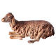Schaf, liegend, für 30 cm Krippe von Angela Tripi, Terrakotta s1